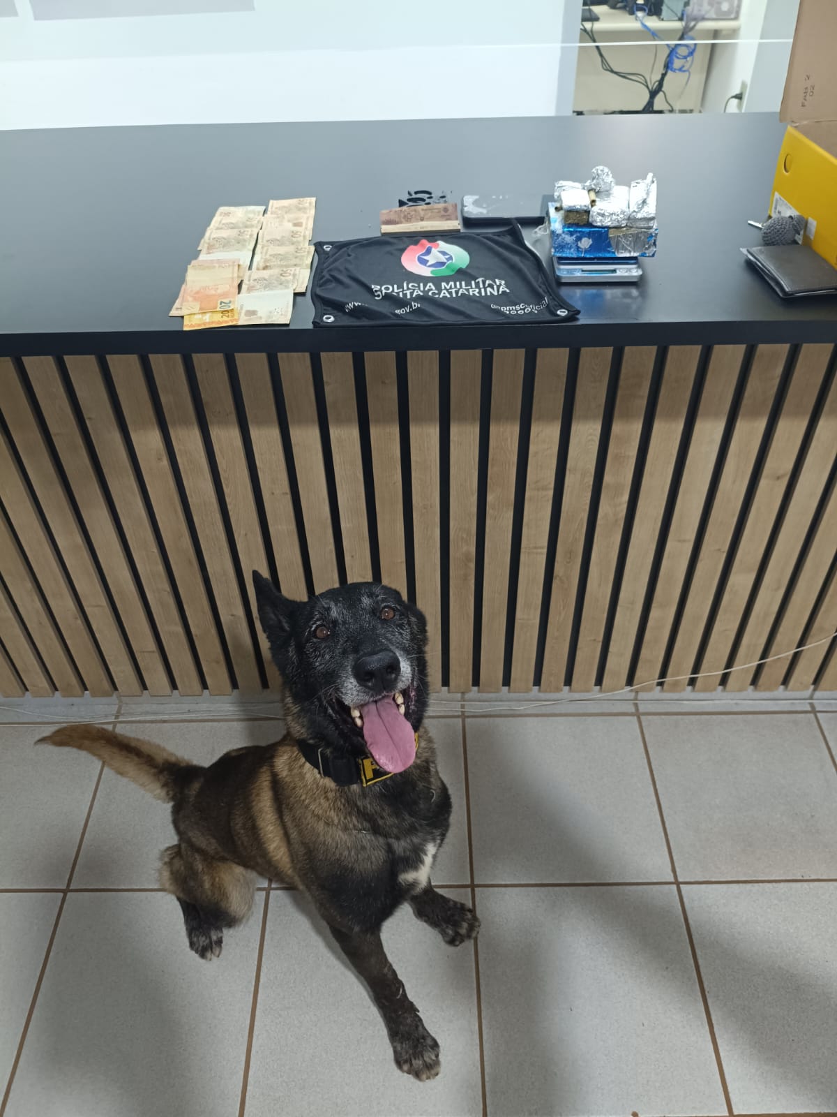 Suspeito foge pela manhã, volta a negociar droga horas depois e acaba preso com mais de meio quilo de maconha no Oeste de SC